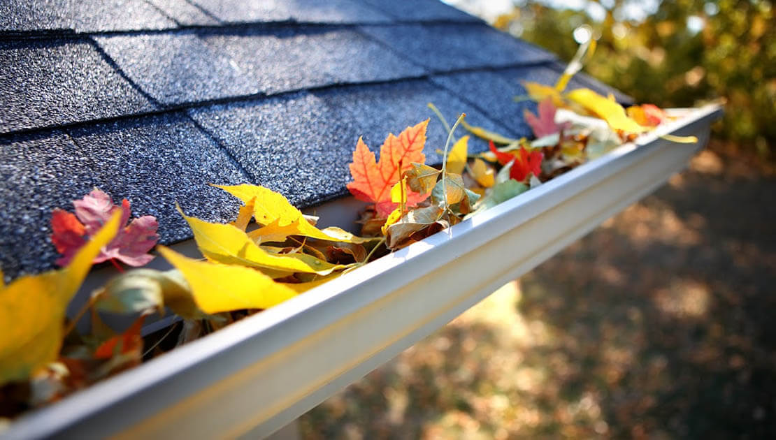 PRO TIP: Clogged Gutters