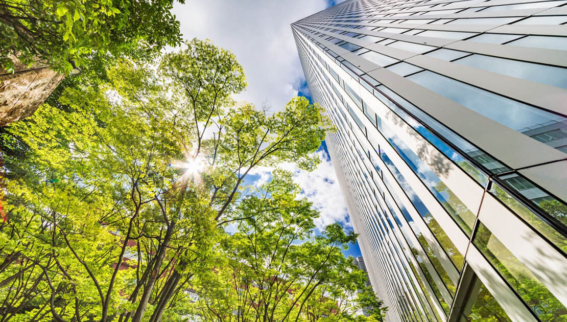 How to Build a Healthy Home with Green Building Practices